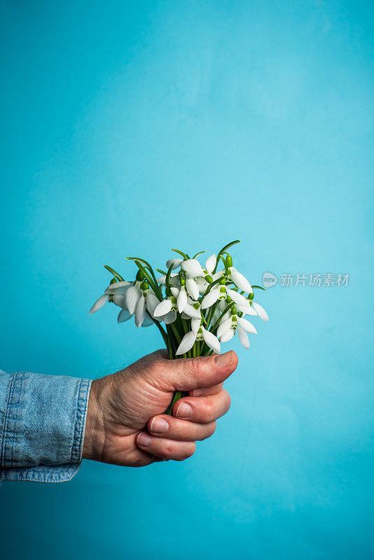 男人捧着雪花莲花束