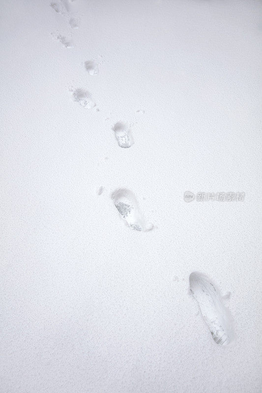 雪地里的脚印