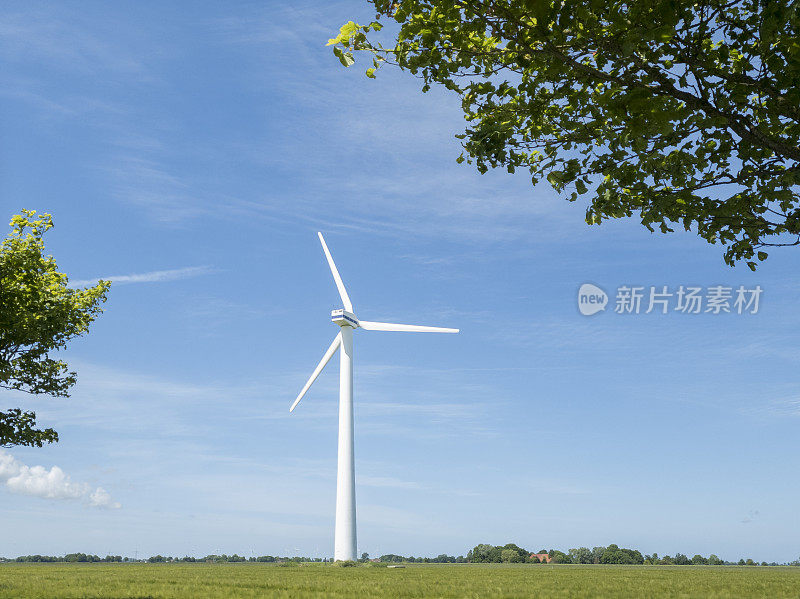 蓝天下绿树环绕的草地上的风力发电机