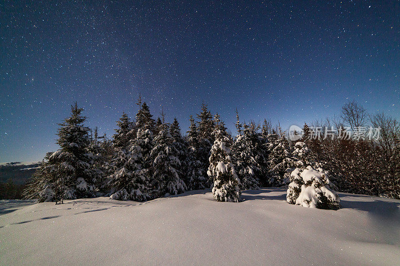 壮丽的星空笼罩着冬日的山景。夜景。月光下美丽的高大冷杉。喀尔巴阡山,乌克兰,欧洲。