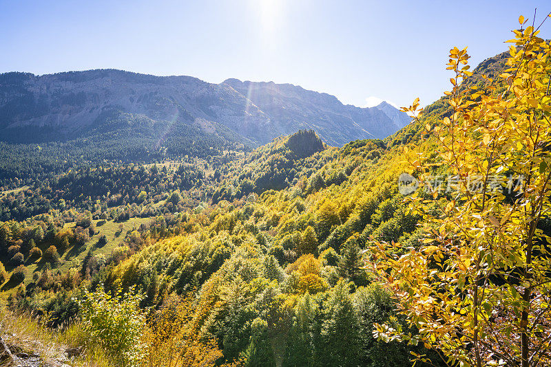 奥德萨比利牛斯山在韦斯卡的秋天，布哈鲁洛山毛榉林西班牙
