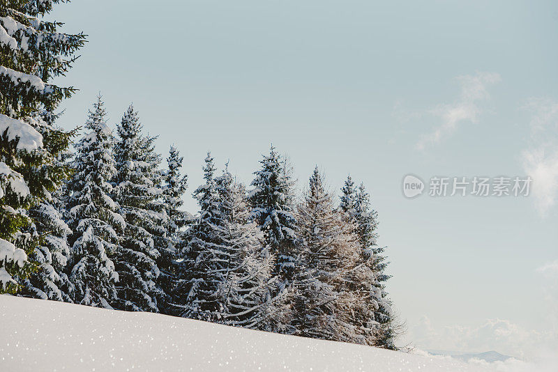 冬天下雪的景色