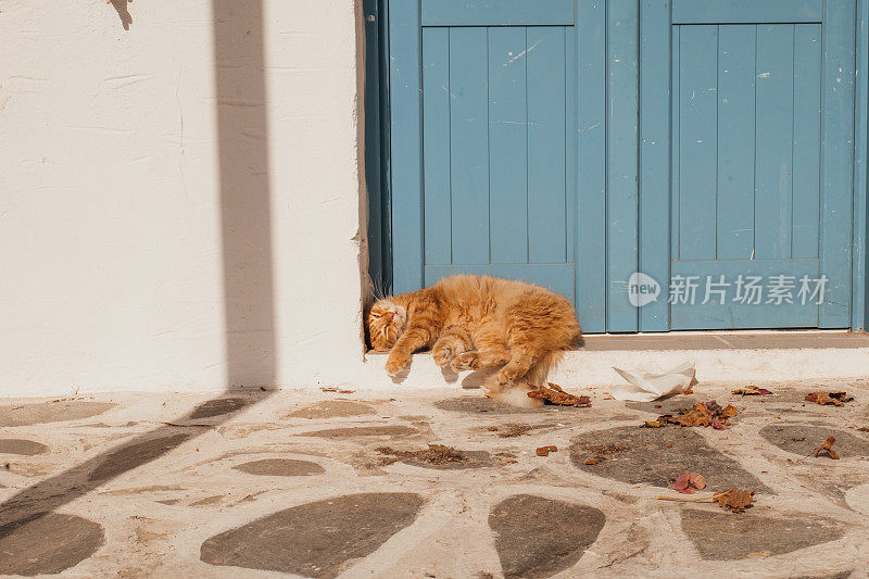 在希腊的一个村庄里，一只猫在一扇蓝色的门前晒太阳