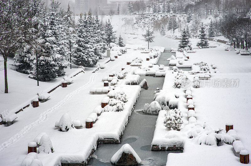 迪克门山谷里的雪树和池塘