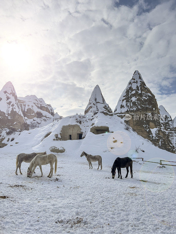 卡帕多西亚马与精灵烟囱背景寒冷的雪天