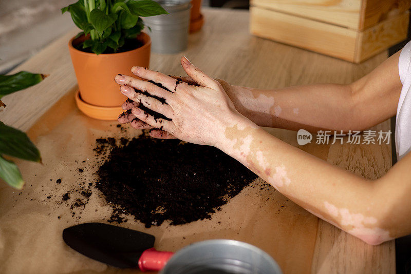 高角度特写的一个不认识的年轻白人妇女照顾她的植物在家里