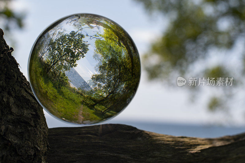斯堪的那维亚的自然，春天里有树木，大海和草，外面有水晶球。关注自然和气候，将自然包裹在一个发光的水晶球中。球被放置在可以看到大海的树干上。