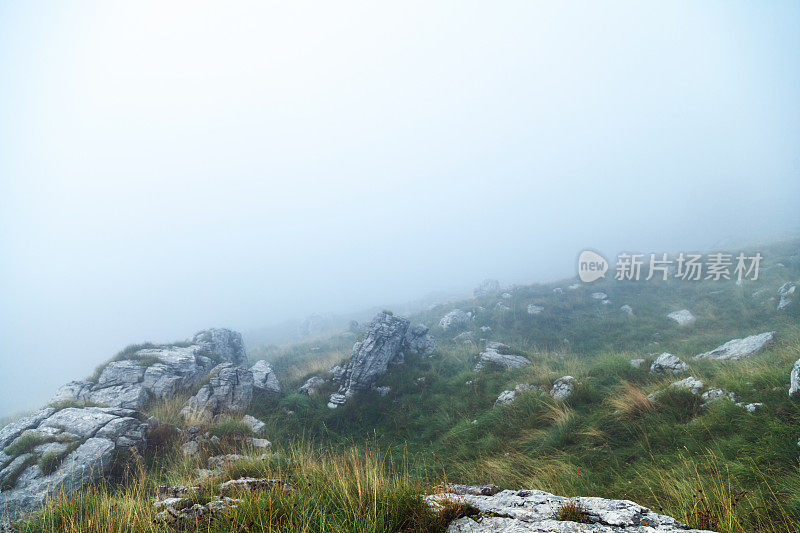 浓密而神秘的雾笼罩着山间的小路