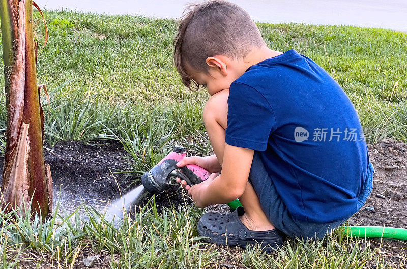 小男孩在他家前院给植物浇水