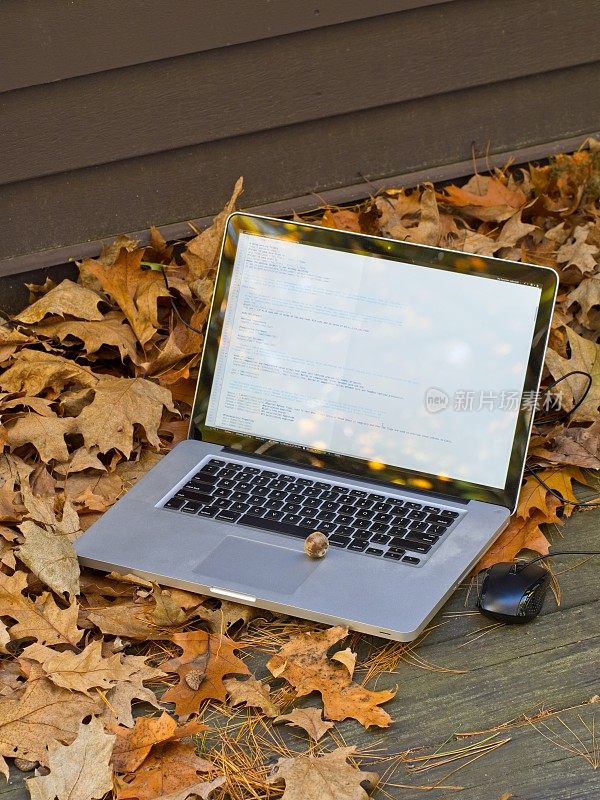 一个在家工作的概念，电脑屏幕与落叶为背景