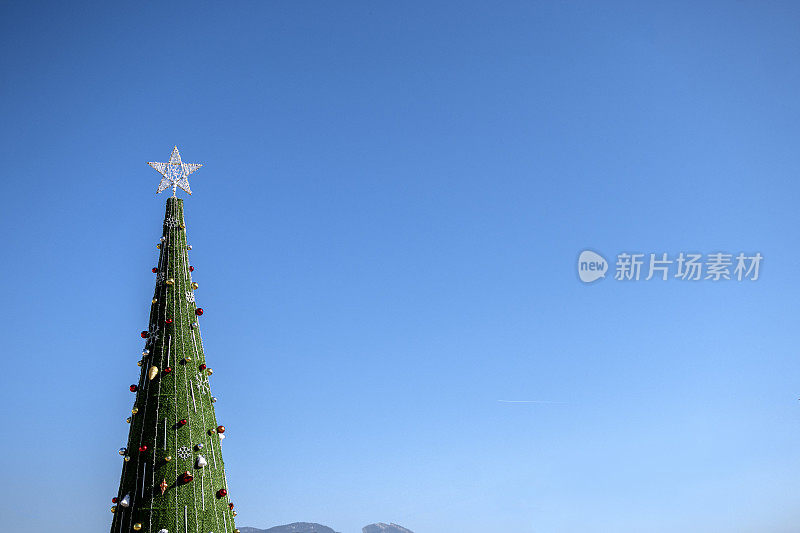 圣诞节和新年边界的现实树枝圣诞树和冬青浆果