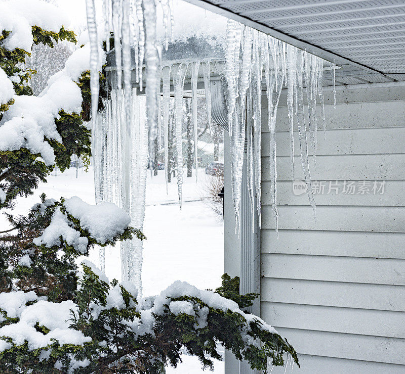 冻结的冬季冰柱悬挂在屋顶水槽边缘