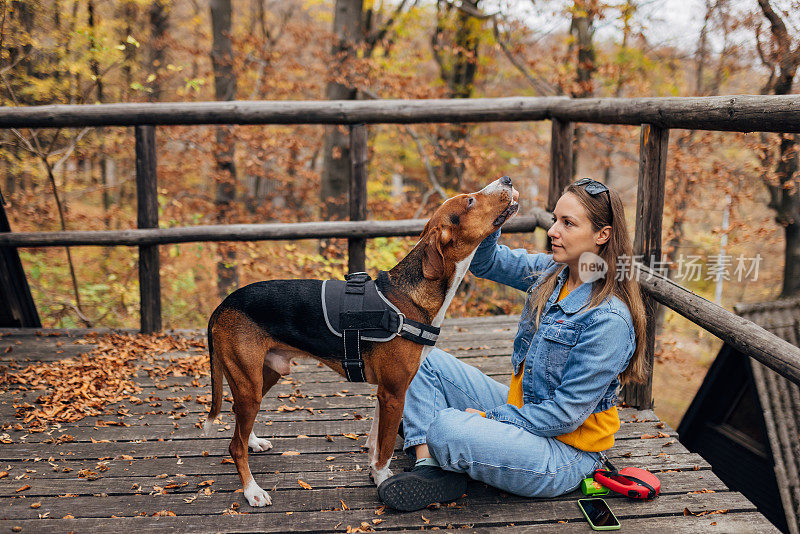 一只猎犬和它的主人在大自然中享受秋天的一天。他们正坐在门廊上