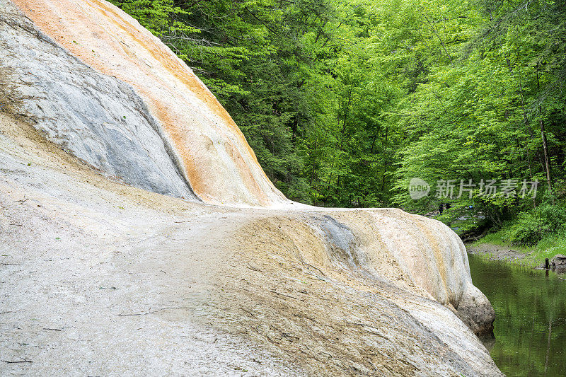 萨拉托加温泉州立公园间歇泉小径上的风景