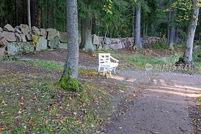 俄罗斯维堡附近Monrepos自然公园的木制人行道。