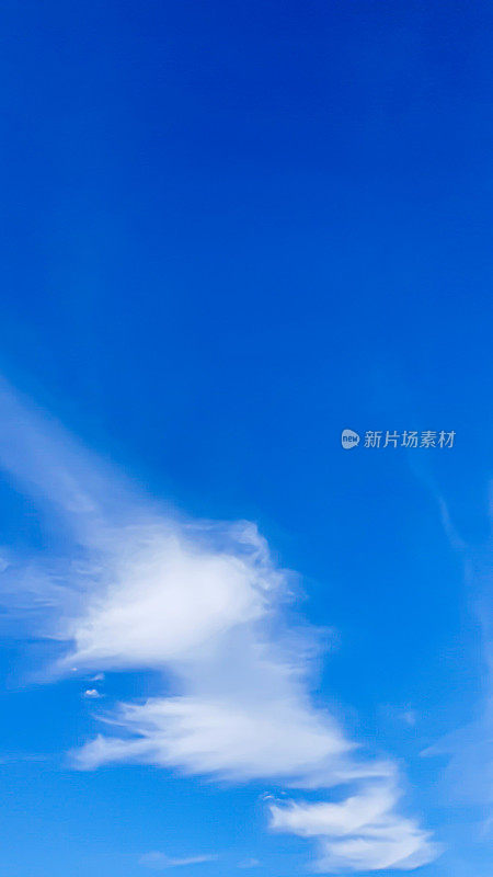 蓝蓝的天空有云，鸟儿在飞翔，绿油油的树枝。夏天的本性。路。