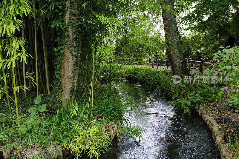 蜿蜒的小溪穿过葱绿的秋林，莫奈的花园，吉维尼，法国