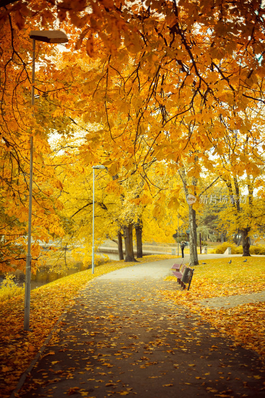 秋天在城市公园里