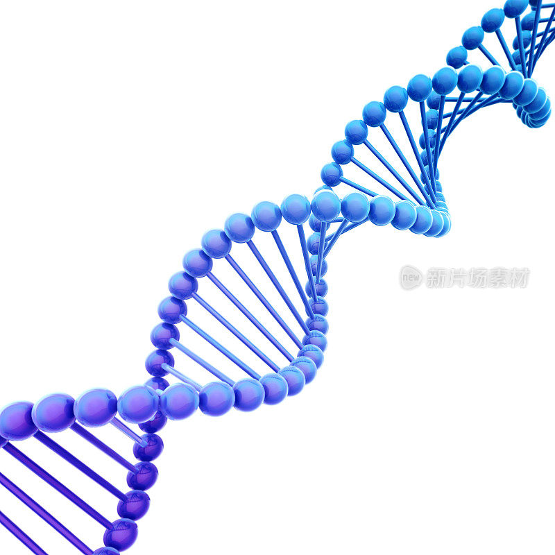 白色上的斜蓝色DNA螺旋