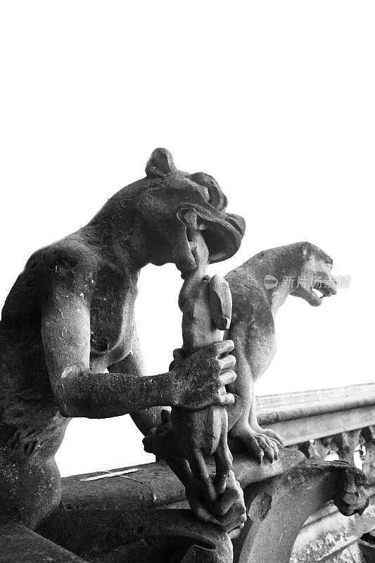 巴黎圣母院的奇美拉雕像