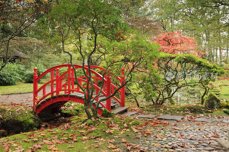 海牙的日本花园