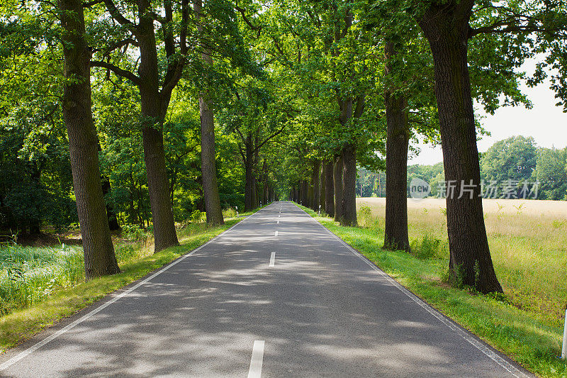 乡间小路