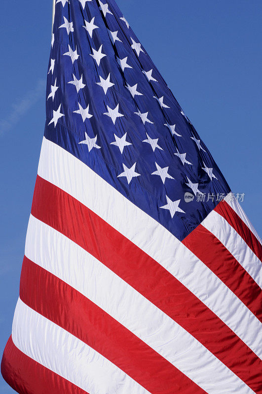 向美国国旗宣誓
