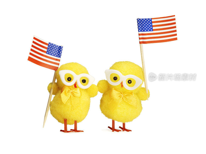 两只小鸡2美国国旗