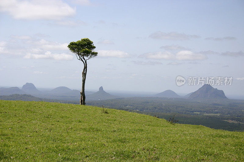 玻璃屋山与前景树