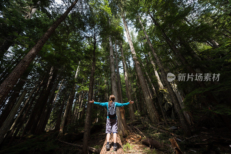 在温带雨林中快乐的徒步旅行者