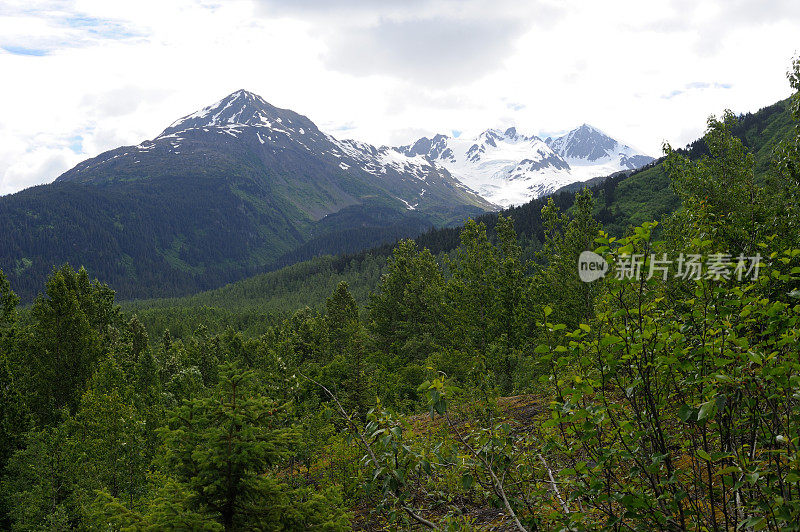 阿拉斯加苏厄德出口冰川的风景