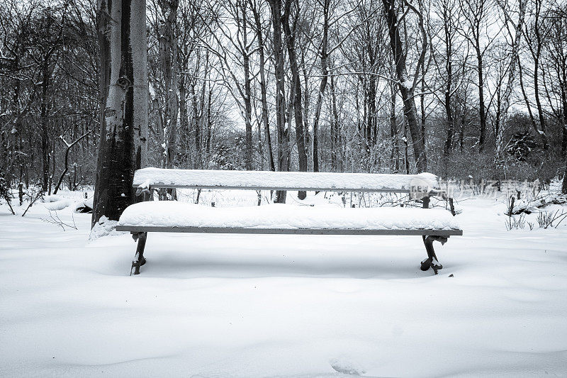 雪地里的长凳