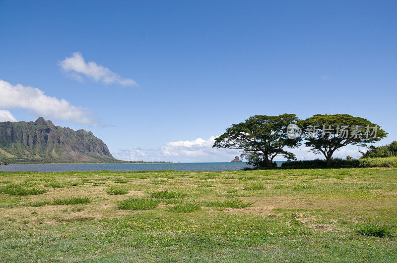 夏威夷的风景