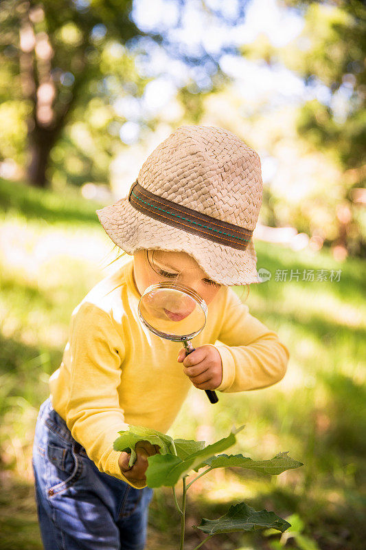 好奇的幼童正在用放大镜研究一片叶子