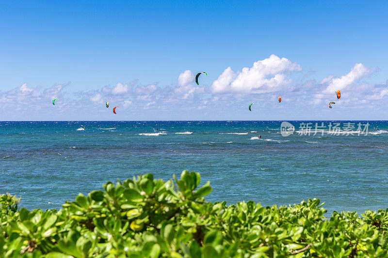 夏威夷瓦胡岛Mokuleia海滩风筝冲浪