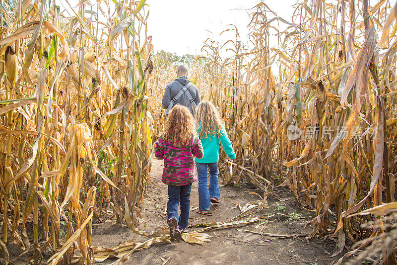 两个女孩和爸爸走过秋天玉米迷宫