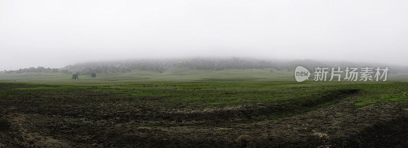 乡村多雾的早晨(全景)