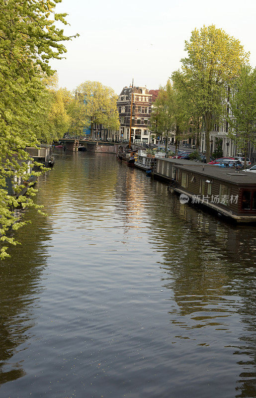 阿姆斯特丹运河的晨光