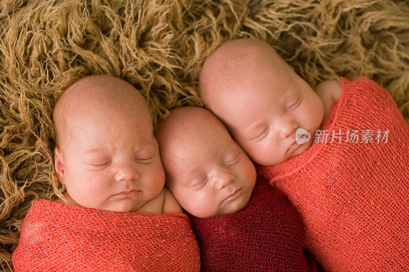 新出生的三胞胎女孩睡觉的专业肖像