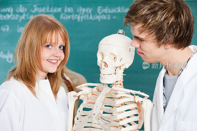 医学院学生正在检查人体骨骼