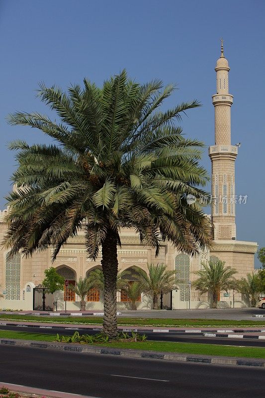 枣椰树和尖塔-迪拜，阿联酋