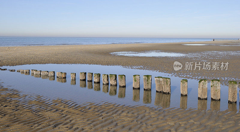 北海海滩与groynes，泽兰，荷兰