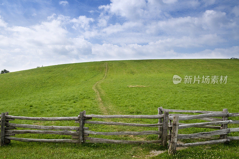 篱笆草和天空