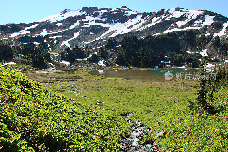 美丽的高山风景在夏季