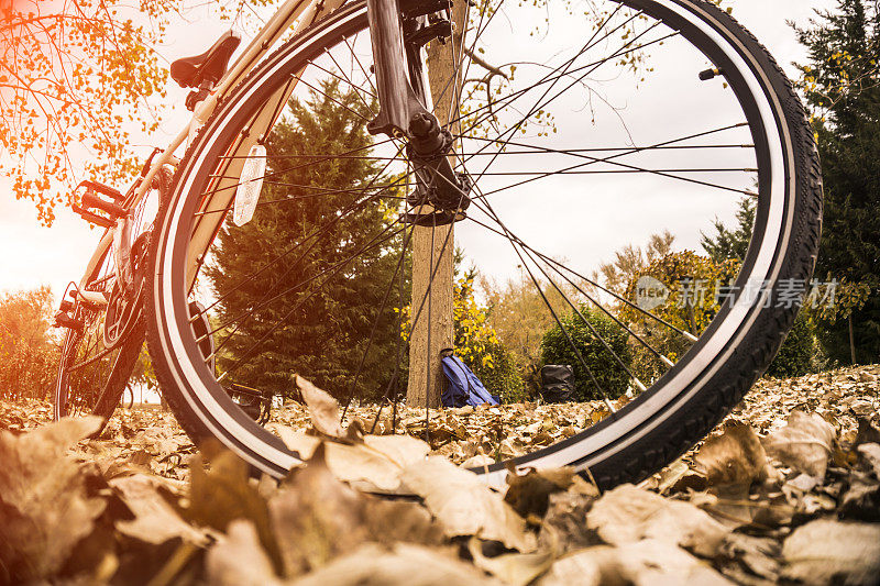 秋天的森林里的自行车