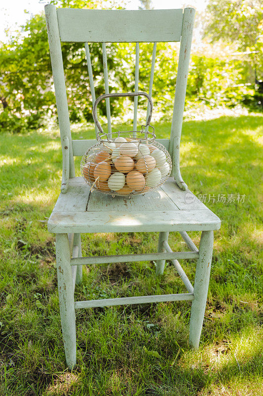在旧椅子上的铁丝鸡蛋筐里自由奔跑的鸡蛋