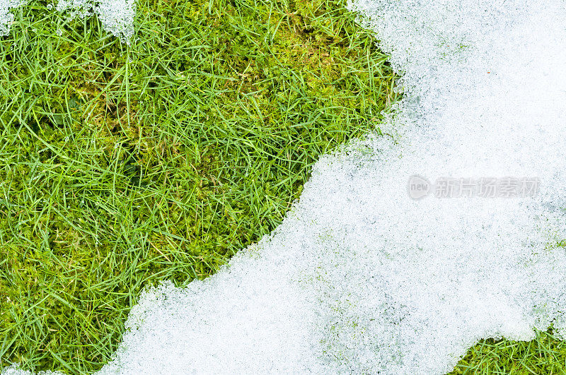 草地上的雪正在融化