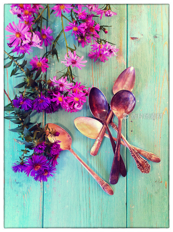 秋紫苑和老勺子静物