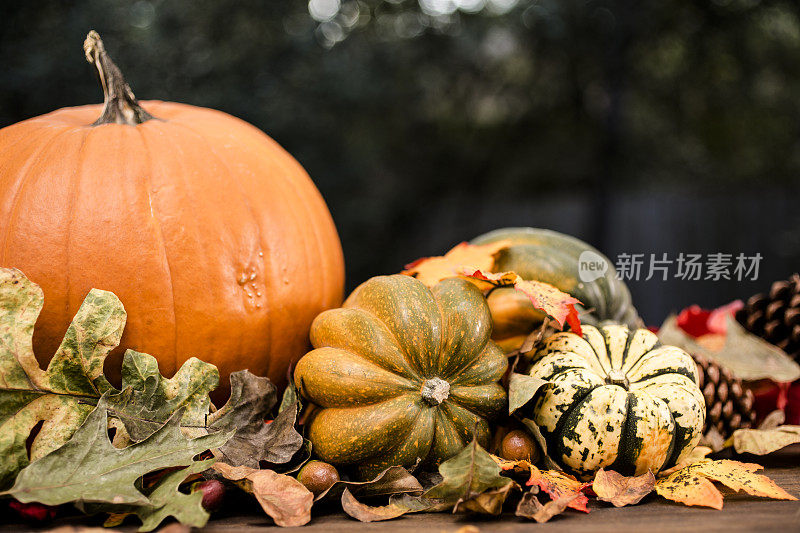 秋天的中心装饰品用橙色的南瓜、树叶装饰。