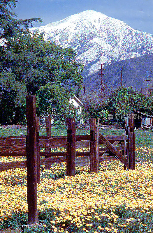 古老的畜栏和春天的花在空地附近的门通和莱德兰加利福尼亚